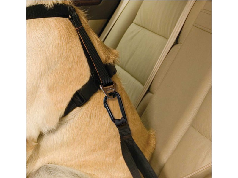Pet Harness With Quick Release Buckles Black - X-small - For Mini Cooper